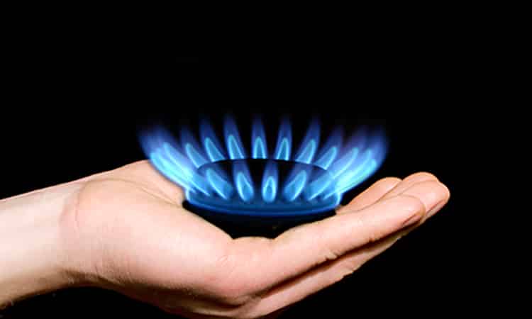 Smart-dodos-Is-Nederland-klaar-voor-gasloos-wonen