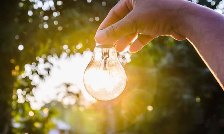 Smart-Dodos-Zie-jij-door-de-bomen-de-panelen-nog